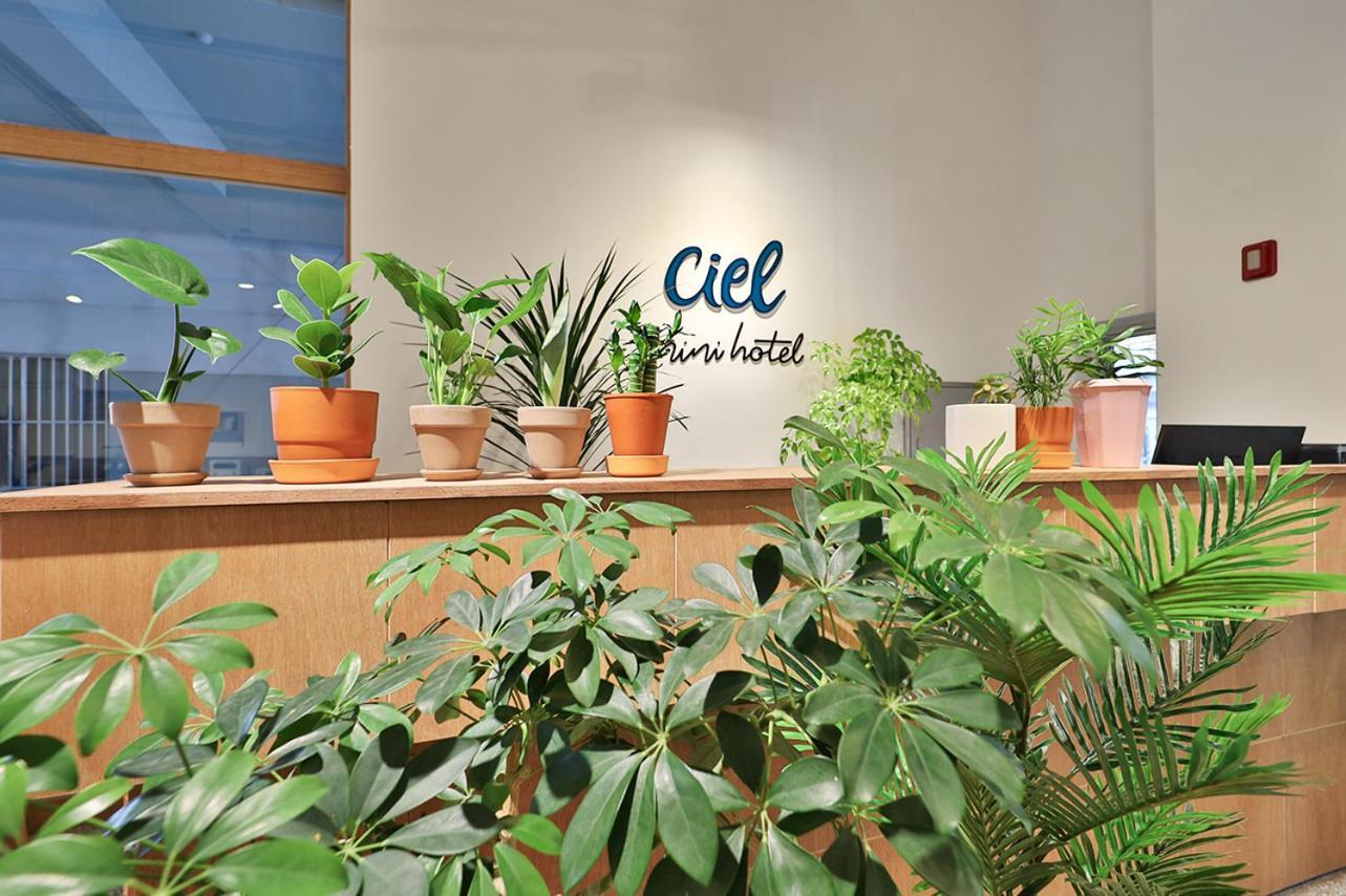 Ciel Mini Hotel Gyeongju Zewnętrze zdjęcie